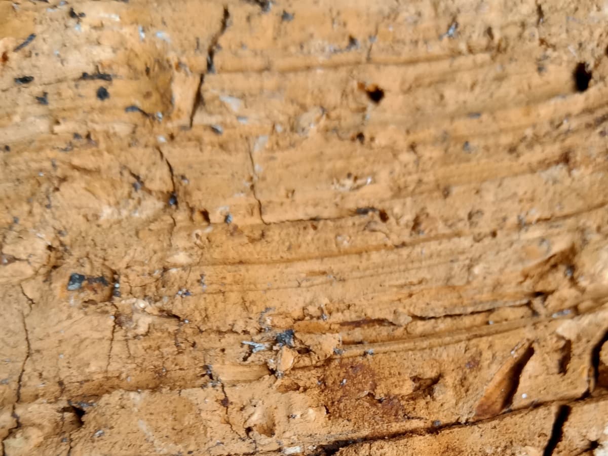 Turkish Travertine Architectural Texture