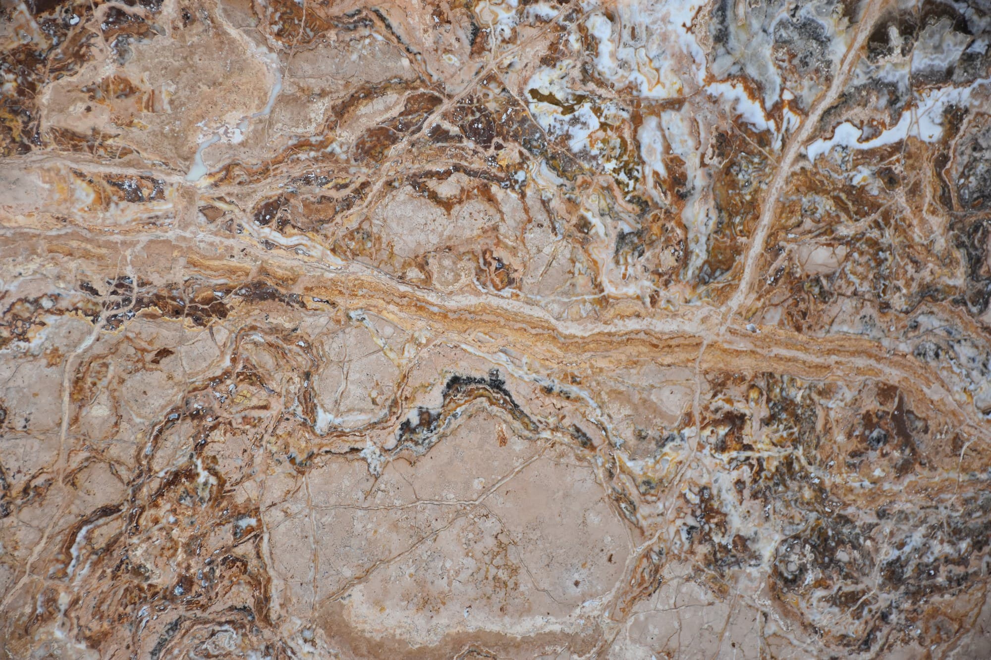 Traonyx marble - Premium natural stone surface