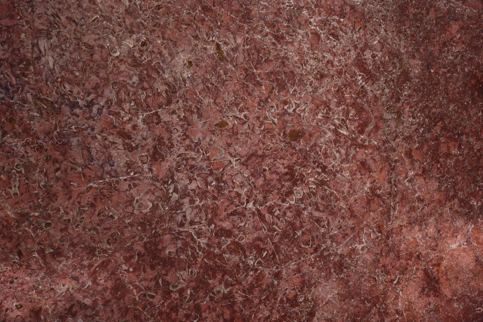 Red Marble marble - Premium natural stone surface